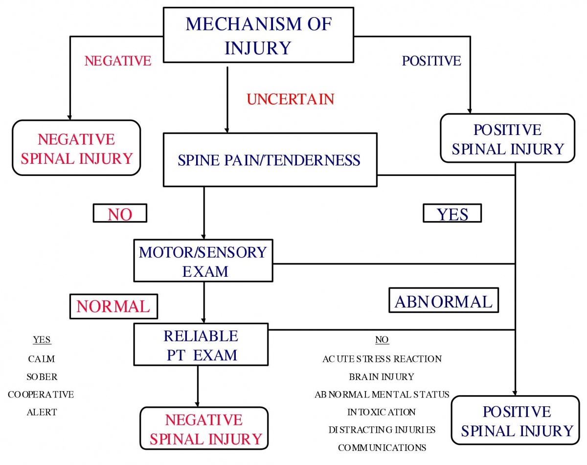 Spinal Injury Assessment Critical Criteria - Protocopedia