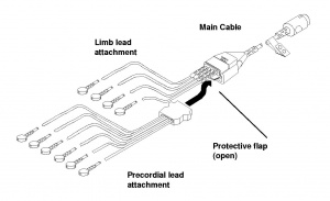 12 Lead Cable