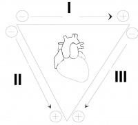 Placement for monitoring Leads I, II, and III