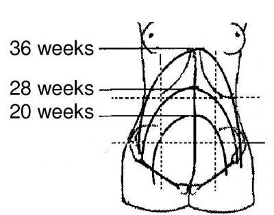 Trauma In Pregnancy - Protocopedia